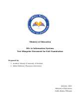 Information Systems.docx